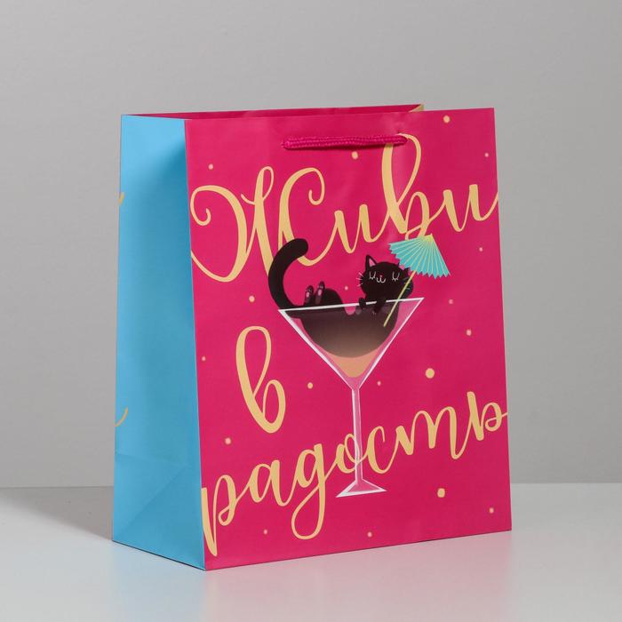 Пакет ламинированный вертикальный «Живи в радость», ML 23 × 27 × 11,5 см