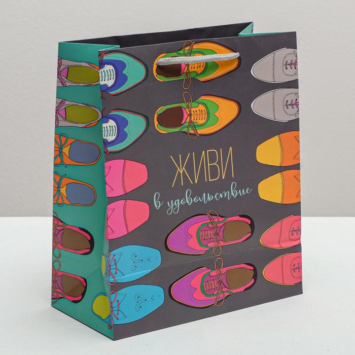Пакет ламинированный вертикальный «Живи в удовольствие», ML 23 × 27 × 11,5 см