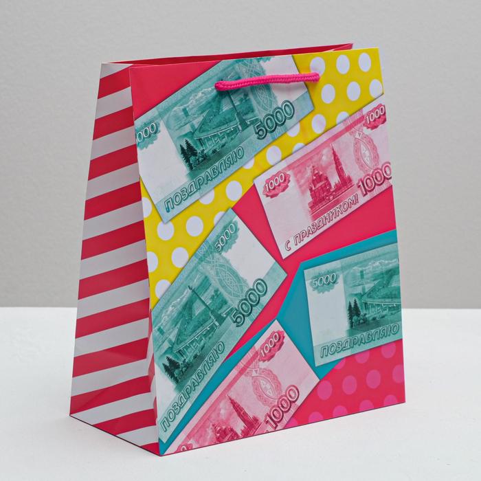 Пакет ламинированный вертикальный «Много денег!», ML 23 × 27 × 11,5 см
