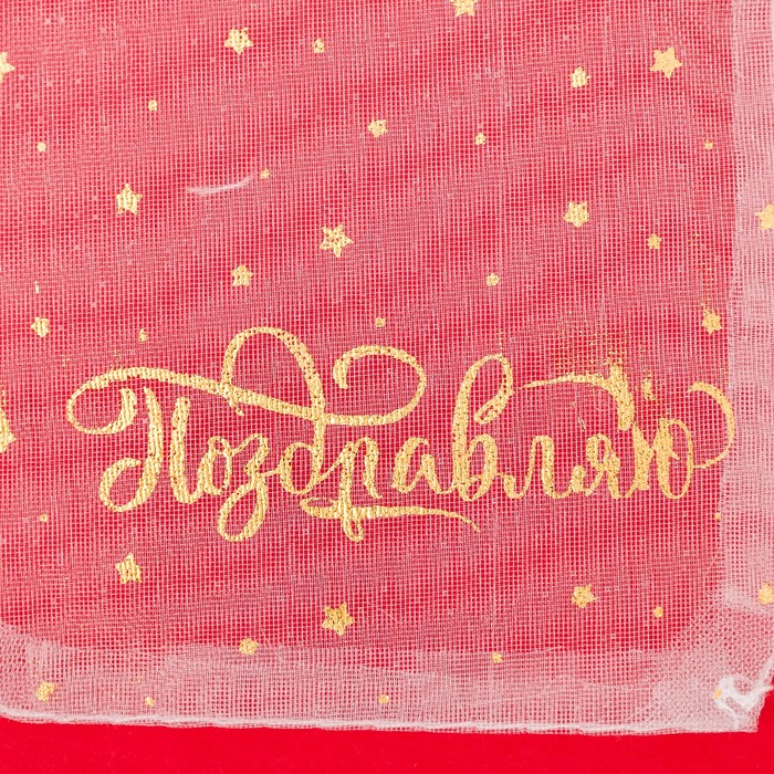 Мешочек подарочный органза «Поздравляю», 8 х 10 см