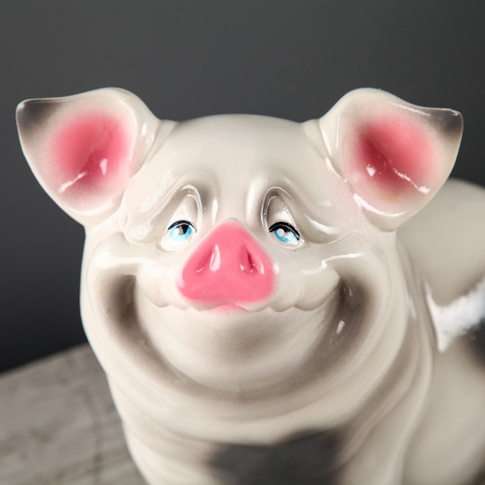 Копилка "Свинка Нюся" белая, глянец