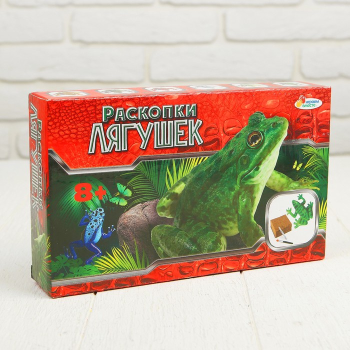 Набор для проведения раскопок "Лягушки" 666-661-RU