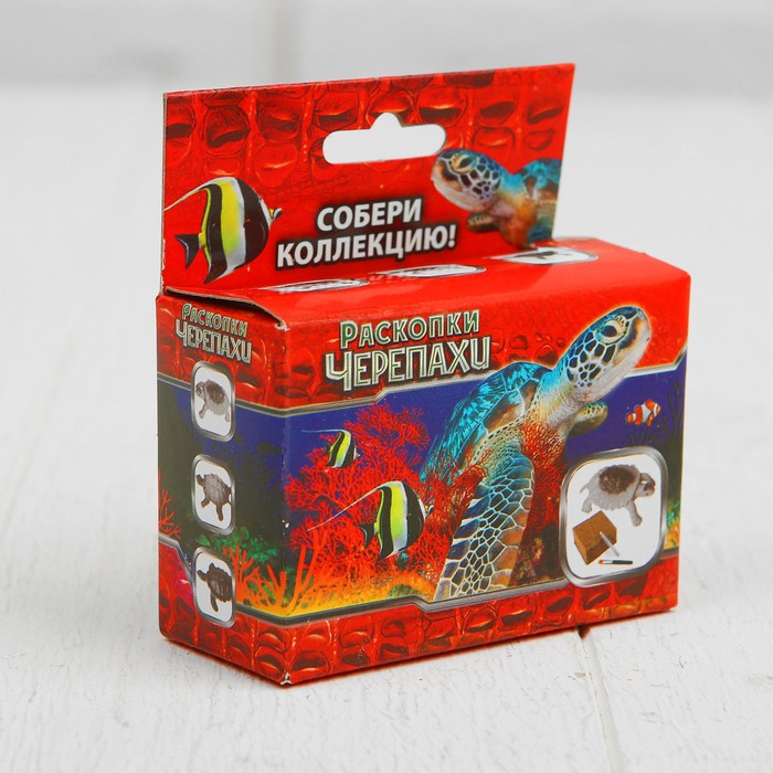 Набор для проведения раскопок "Черепахи" 666-630-RU