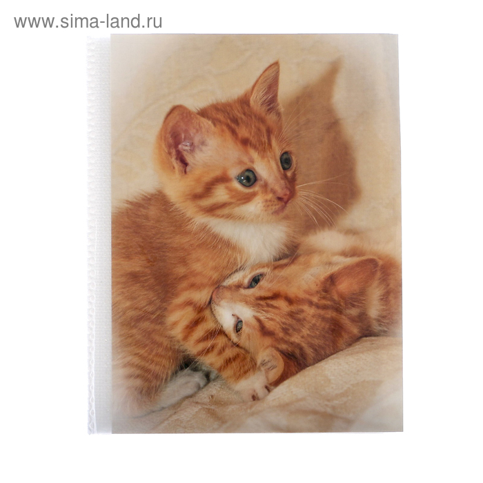 Фотоальбом на 36 фото 10х15 см Pioneer Puppies and kittens рыжие котята