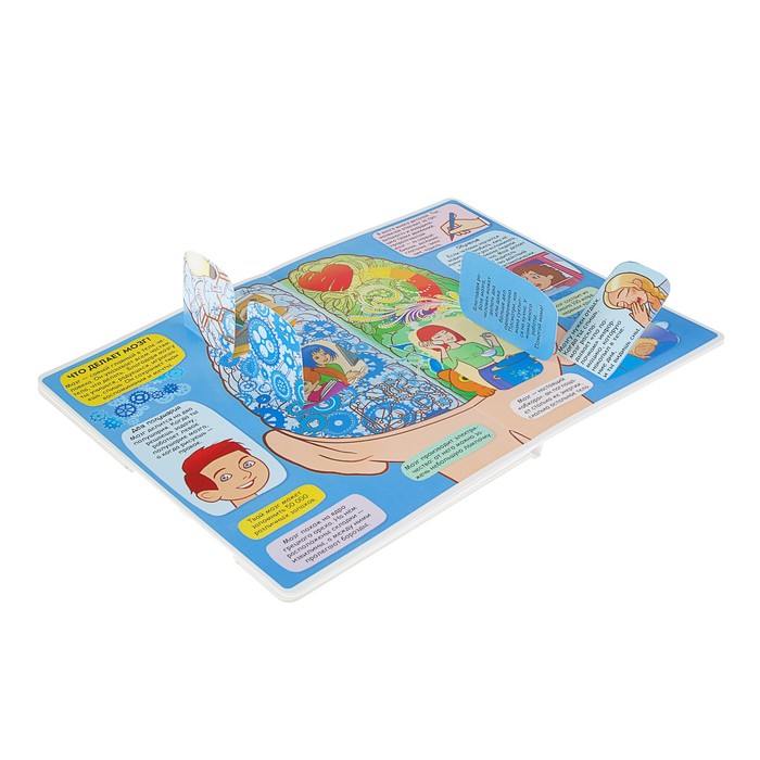 Книжка с секретными окошками «Твоё тело»