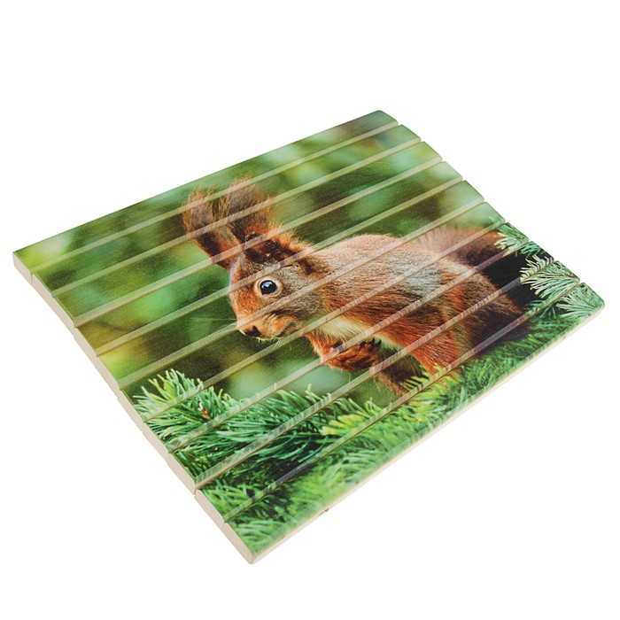 Сидушка " Белка" 32х39см