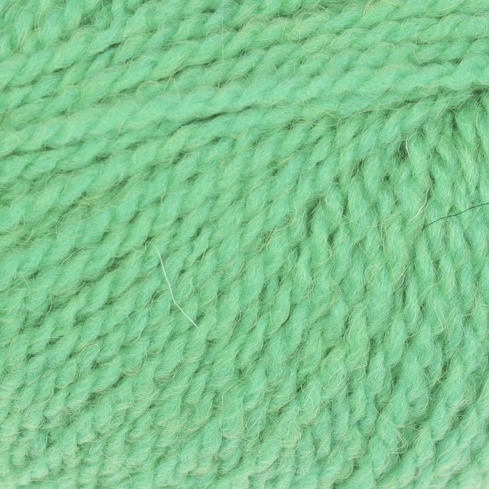 Пряжа "Лея" 34% шерсть, 48% акрил, 18% ангора 105м/50г (0057 св. салат)