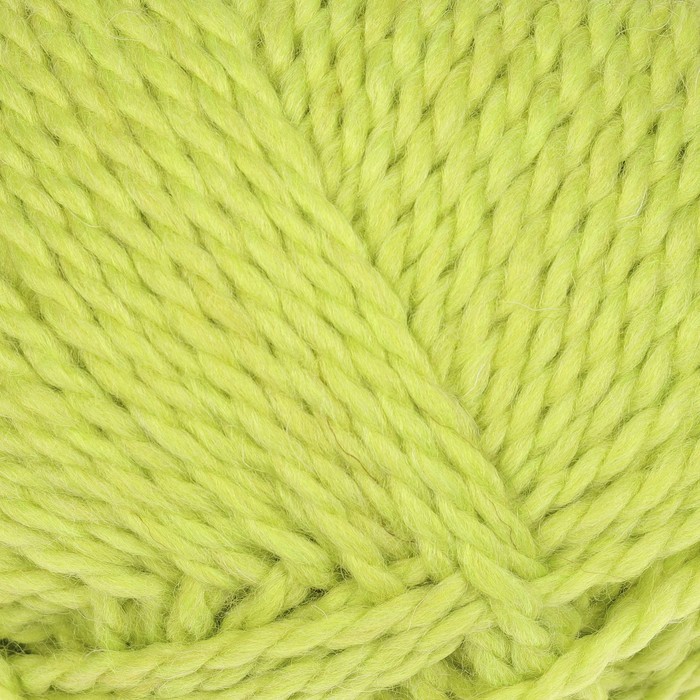 Пряжа "Меланж из Троицка" 70% шерсть, 30% акрил 150м/100гр (8440, меланж (яр. салат))