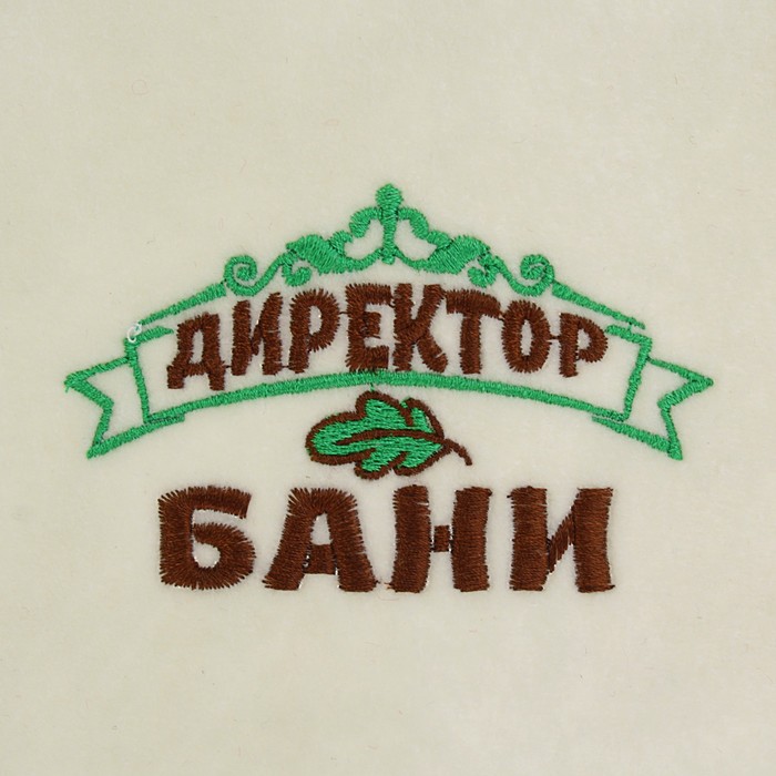 Шапка банная в косметичке "Директор бани" белая