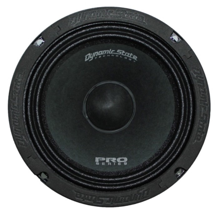 Акустическая система Dynamic State PM-165.1 PRO Series, 16.5 см, 300 Вт