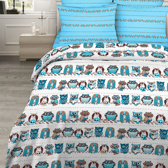 Постельное бельё евро Василиса «Совы 215х200, 200х220, 70х70см - 2 шт