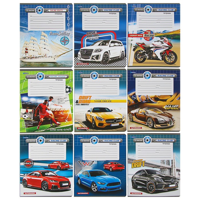 Тетрадь 12 листов клетка "МИКС М", обложка мелованный картон, 10 видов