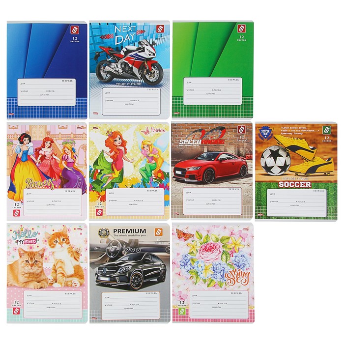 Тетрадь 12 листов клетка "МИКС-10", обложка картон хромэрзац, 10 видов