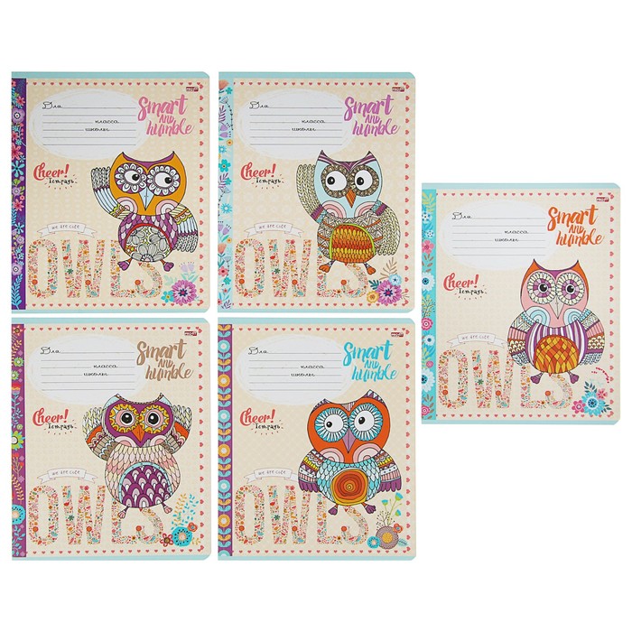 Тетрадь 12 листов клетка "Совы в узорах 2" обложка картон хромэрзац, второй блок