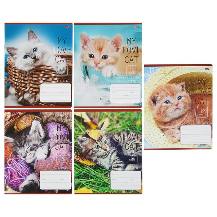 Тетрадь 12 листов линейка "Любимые котята" обложка картон хромэрзац, 5 видов