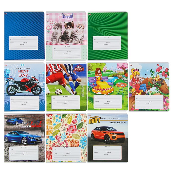 Тетрадь 12 листов линейка "МИКС-10" обложка картон хромэрзац, 10 видов