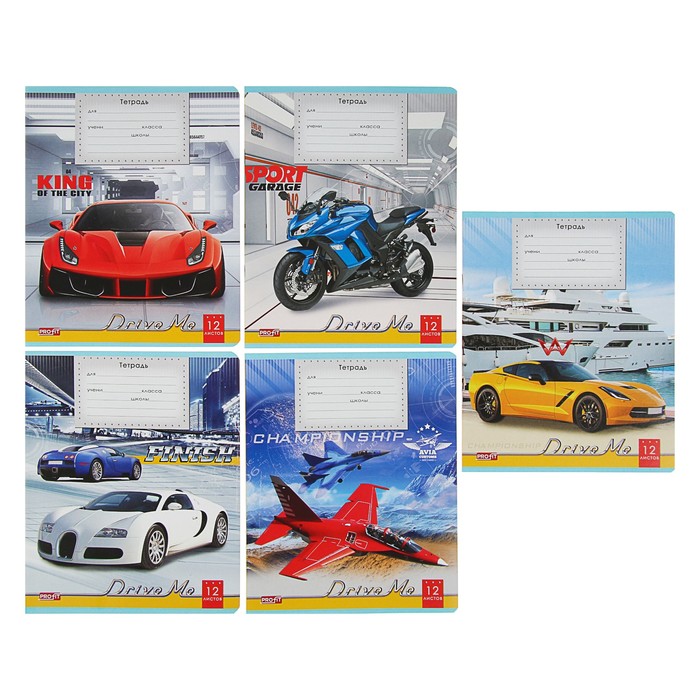 Тетрадь 12 листов линейка "МИКС-69" обложка картон хромэрзац, второй блок, 10 видов