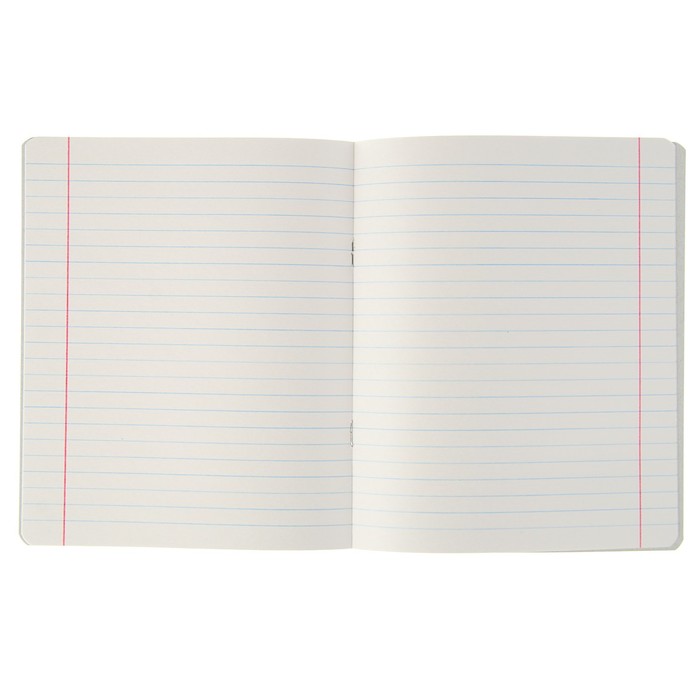 Тетрадь 12 листов линейка "МИКС-71" обложка картон хромэрзац, второй блок, 10 видов