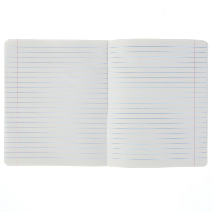 Тетрадь 12 листов линейка "МИКС-м" обложка картон хромэрзац, 10 видов