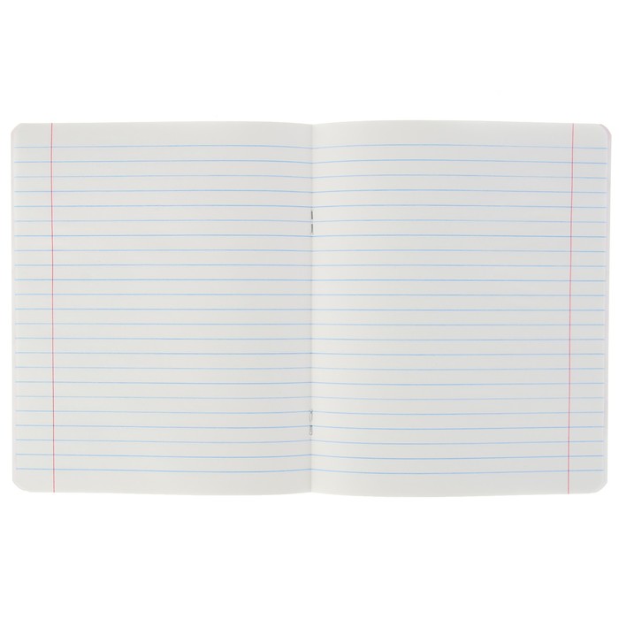 Тетрадь 12 листов линейка "Принцессы и принцы" обложка картон хромэрзац, 5 видов