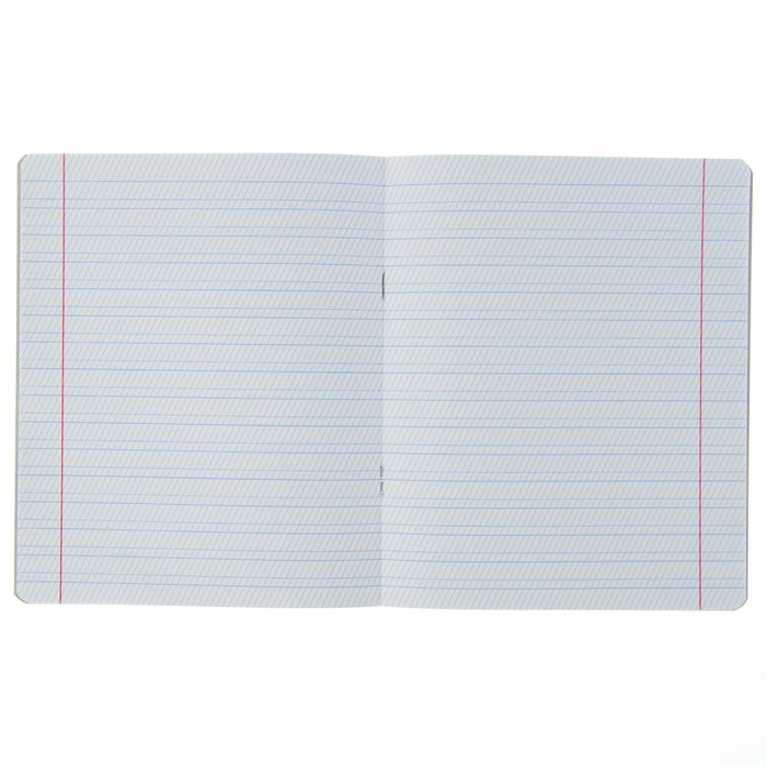 Тетрадь 12 листов частая косая линейка "МИКС-81" обложка картон хромэрзац, 10 видов