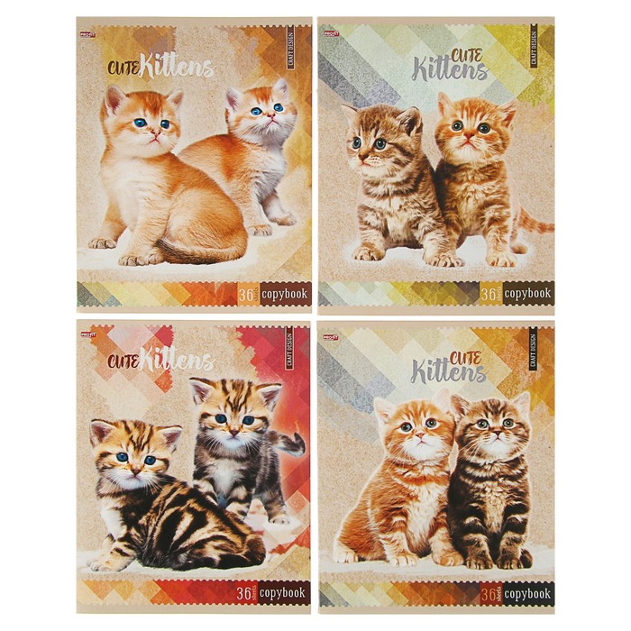Тетрадь 36 листов клетка "Котята на бежевом фоне" обложка картон хромэрзац