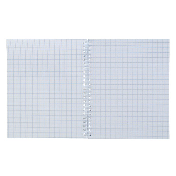 Тетрадь 96 листов клетка на гребне "Открытка из Парижа", картон хромэрзац