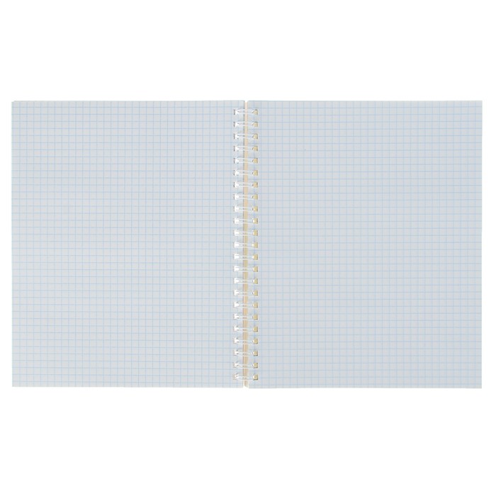 Тетрадь 96 листов клетка на гребне "Яркие птицы и цветы" обложка мелованный картон