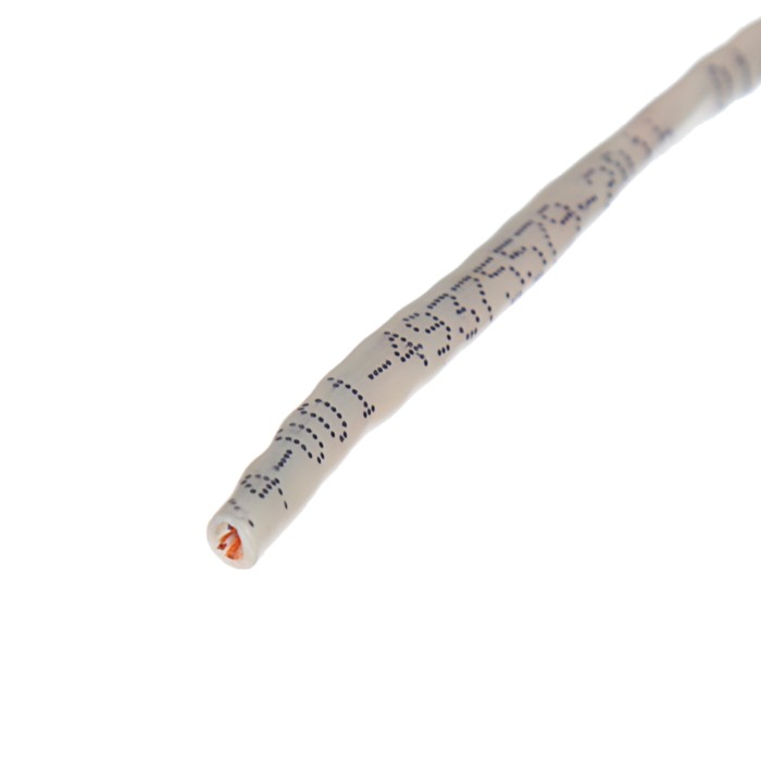 Кабель SkyNet Standart UTP indoor CSS-UTP-2-CU/100, CAT5e, 2x2x0,48 мм, 100 м, серый