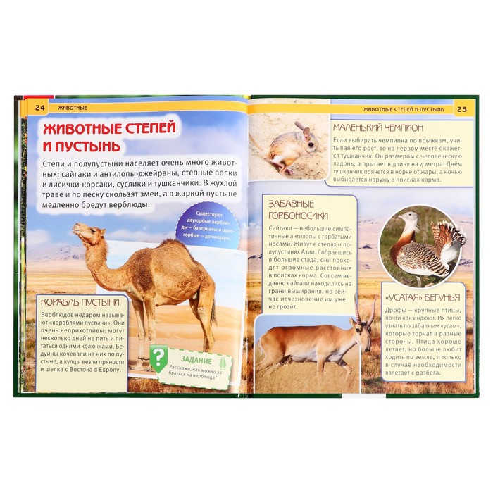 Энциклопедия. Животные (тв.переплет, бумага мелован, 130г. 197*255мм)