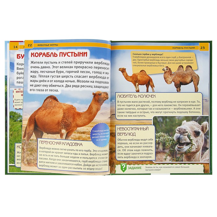 Энциклопедия. Животные фермы