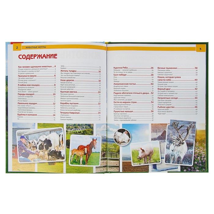 Энциклопедия. Животные фермы
