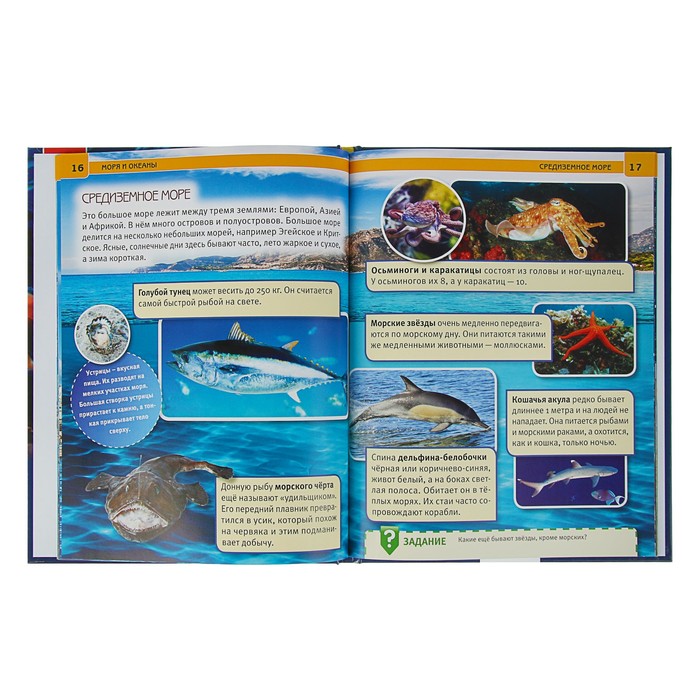 Энциклопедия. Моря и океаны (тв.переплет, бумага мелован, 130г)