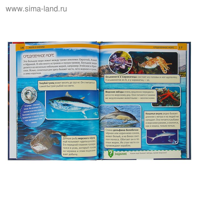 

Энциклопедия с развивающими заданиями «Моря и океаны»