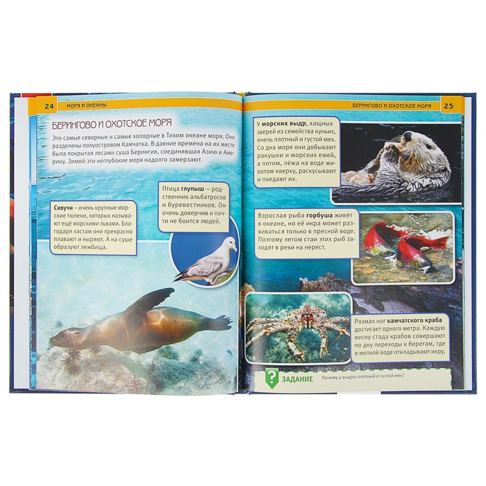 Энциклопедия. Моря и океаны (тв.переплет, бумага мелован, 130г)