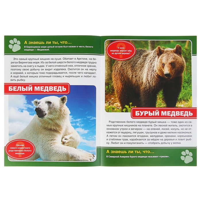 Энциклопедия. Хищники (214290мм, 16стр)