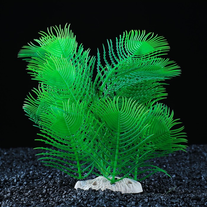 Растение искусственное аквариумное