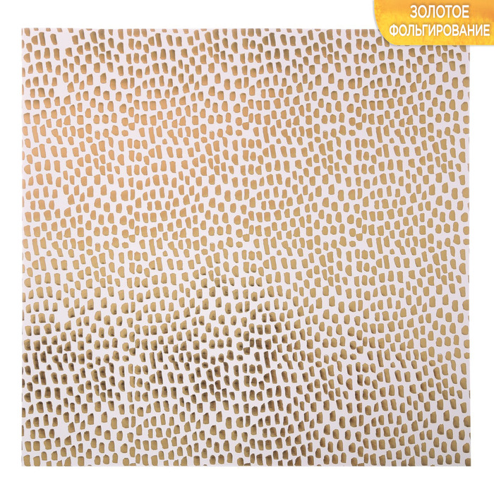 Бумага в листах «Кения», 10 листов 30,5 х 30,5 см, 180 г/м