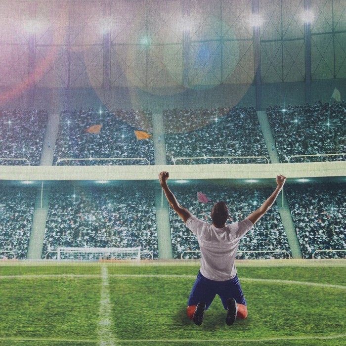 Постельное бельё "Этель" 2 сп Чемпион 175х215 см, 200х220 см,50х70 см - 2 шт, 100% хлопок, поплин