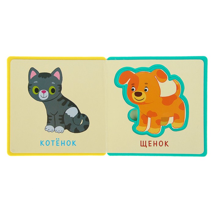 Книга EVA «Животные»