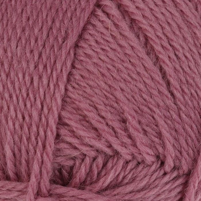 Пряжа "Аргентинская шерсть" 100% импортная п/т шерсть 200м/100гр (270 клевер)