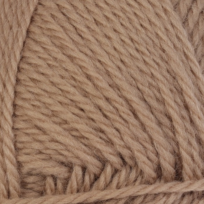 Пряжа "Аргентинская шерсть" 100% импортная п/т шерсть 200м/100гр (006 св. бежев.)