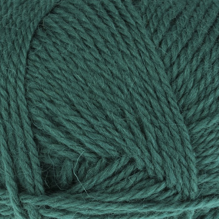 Пряжа "Аргентинская шерсть" 100% импортная п/т шерсть 200м/100гр (041 изумруд)