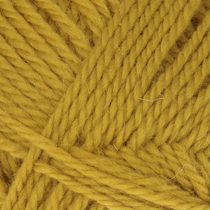 Пряжа "Аргентинская шерсть" 100% импортная п/т шерсть 200м/100гр (099 св. горчица)