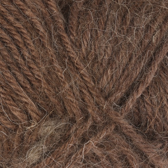 Пряжа "Северянка" 30% шерсть, 5% вербл. шерсть, 65% акрил 150м/100гр (113 какао)