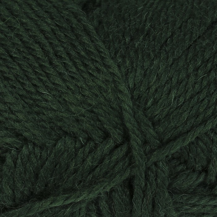Пряжа "Соната" 50% имп. п/т шерсть 50% акрил 250м/100гр (110 зеленый)