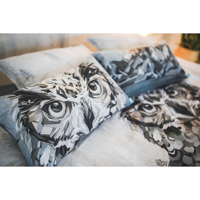 Постельное бельё "Этель" 1.5 сп Сова 143*215 см,150*214 см, 50*70+3 - 2 шт, ранфорс 111 г/м2
