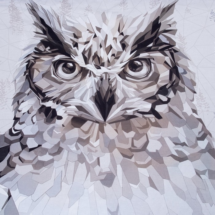 Постельное бельё "Этель" 1.5 сп Сова 143*215 см,150*214 см, 50*70+3 - 2 шт, ранфорс 111 г/м2