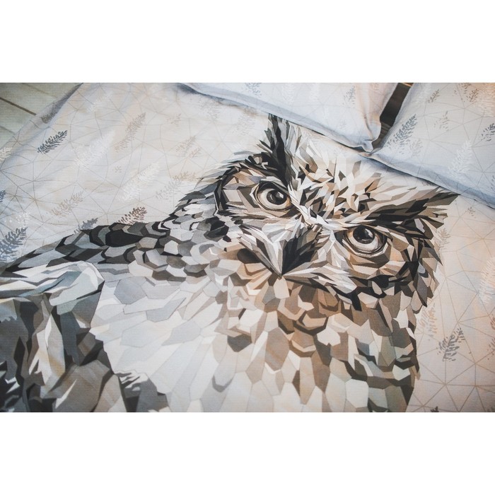 Постельное бельё "Этель" 1.5 сп Сова 143*215 см,150*214 см, 50*70+3 - 2 шт, ранфорс 111 г/м2