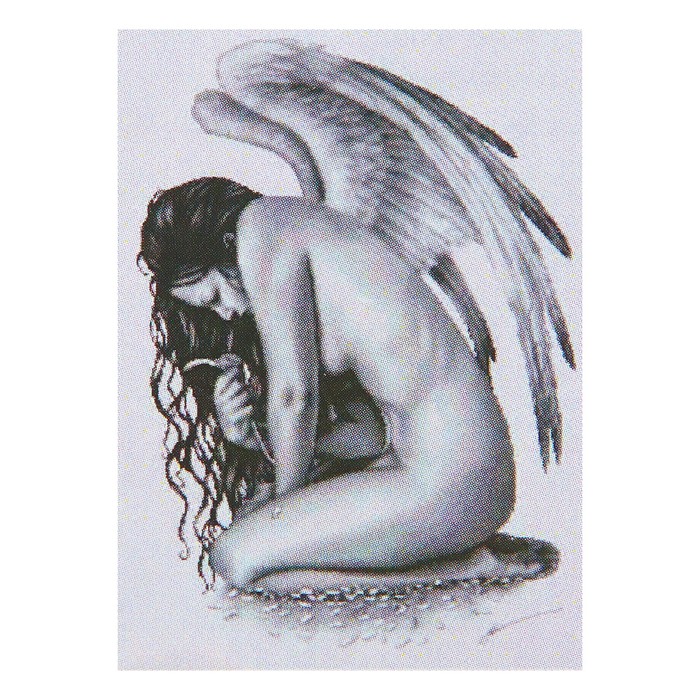 Картина стразами "Любит не любит"